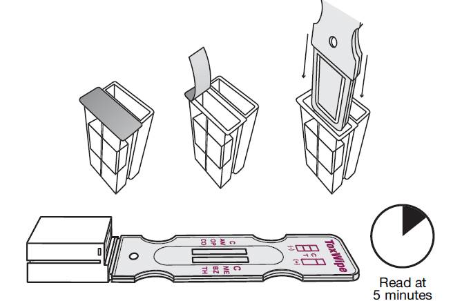 Oral Drug Test Step 3